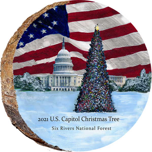 U.S Capitol Christmas Tree